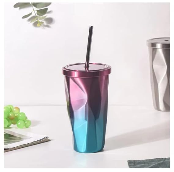 Double Wall Insulated Steel Sipper with Straw 480ml (Multicolor) Pack of 1